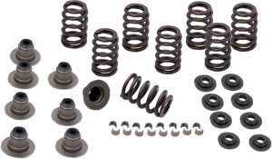 Valve Spring Kit, 2, nordicamoto.ro