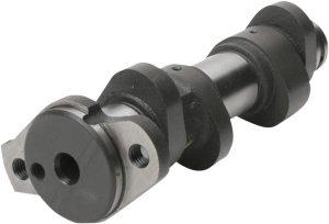Intake/exhaust Camshaft
