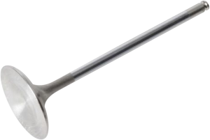 White Diamond Engine Valve