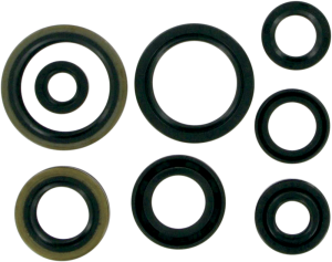 Oil Seals