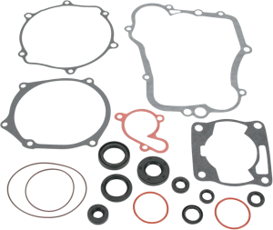 Complete Gasket And Oil Seal Kit