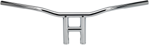 1(r) T-bar Silver