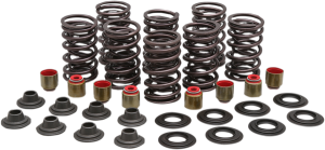Valve Spring Kit