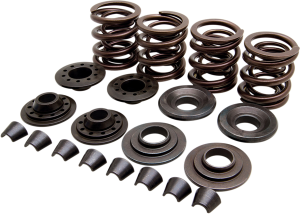 Complete Valve Spring Kit