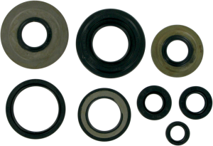 Oil Seals
