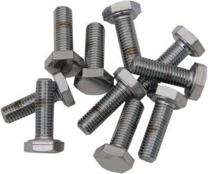 Fine-thread Hex-head Bolt Assortment Silver, 1, nordicamoto.ro