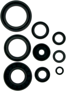 Oil Seals