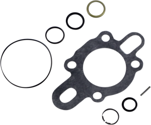 Oil Pump Repair Kit