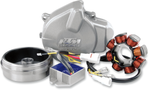Electrical System For Ktm/beta/husqvarna