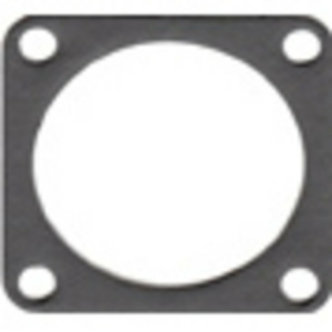 Winderosa Exhaust gasket