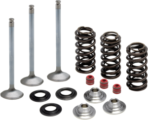 Stainless Steel Conversion Valve And Spring Kit, 1, nordicamoto.ro