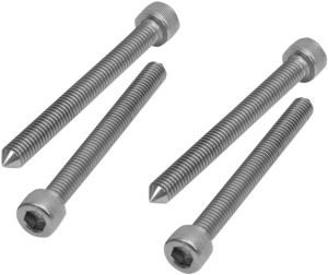 Tapered Seat Bolt Set Stainless Steel
