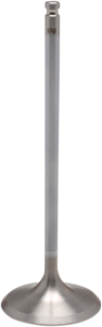 White Diamond Engine Valve