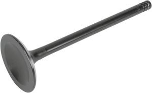 Nitrided Valve