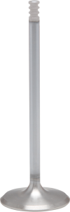 White Diamond Engine Valve