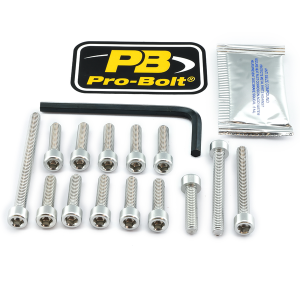 Bolt Kit Silver