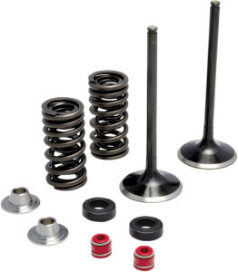 Stainless Steel Conversion Valve And Spring Kit, 1, nordicamoto.ro