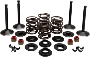 Engine Kit, 1, nordicamoto.ro