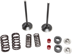 Stainless Intake Valve And Spring Kit