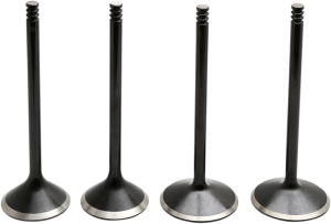 Engine Valve Kit, 1, nordicamoto.ro