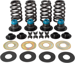 Valve Spring Kit