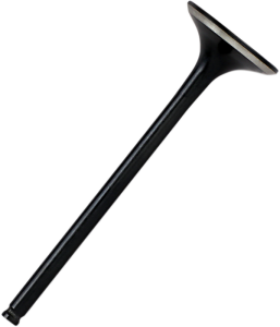 Black Diamond Engine Valve