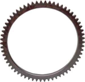 Starter Ring Gear, 1, nordicamoto.ro
