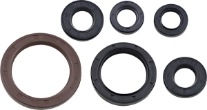 Oil Seal Gasket Kit