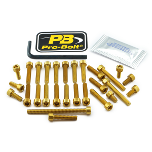 Bolt Kit Gold
