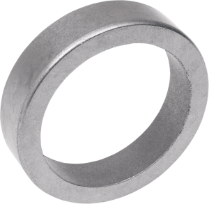 Cast Iron Valve Seat, 1, nordicamoto.ro