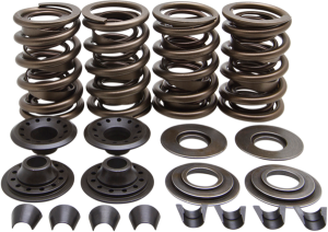 Valve Spring Kit, 1, nordicamoto.ro