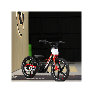 TRRS ON-E BALANCE 16 gyermek elektromos kerékpár, nordicamoto.ro