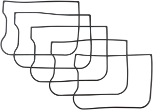 Rocker Gasket