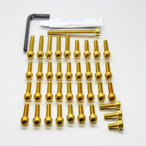 Bolt Kit Gold