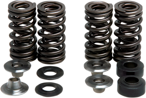 Valve Spring Kit, 1, nordicamoto.ro
