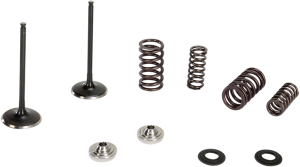 Stainless Steel Conversion Valve And Spring Kit