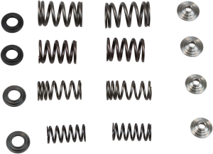 Valve Spring Kit, 1, nordicamoto.ro