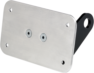 Axle Mount License Plate Bracket, 1, nordicamoto.ro
