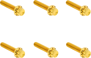 Transmission Side Cover Titanium 12-Point Bolt Kit Gold, 1, nordicamoto.ro