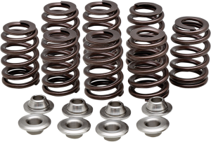 Beehive Valve Spring Kit, 1, nordicamoto.ro