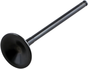 Black Diamond Engine Valve