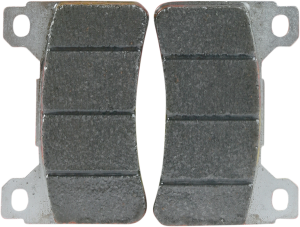 Dc Racing Dual Carbon Brake Pads