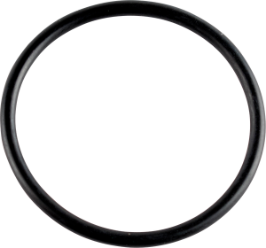 Cam Cover O-ring
