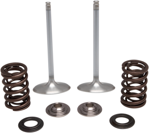 Stainless Steel Conversion Valve And Spring Kit, 1, nordicamoto.ro