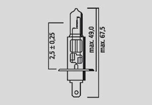 Halogen Headlight Bulbs, 2, nordicamoto.ro