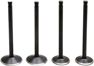 Engine Valve Kit, 1, nordicamoto.ro