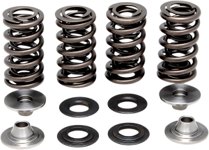 Lightweight Racing Valve Spring Kit