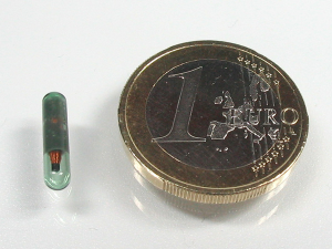 Mo.lock Key (glass Tube)