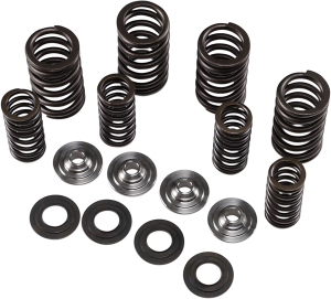 Valve Spring Kit, 2, nordicamoto.ro