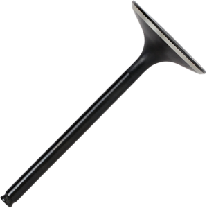Black Diamond Engine Valve